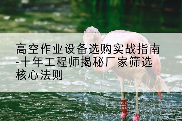 龙门剪叉式升降机厂家-高空作业设备选购实战指南-十年工程师揭秘厂家筛选核心法则