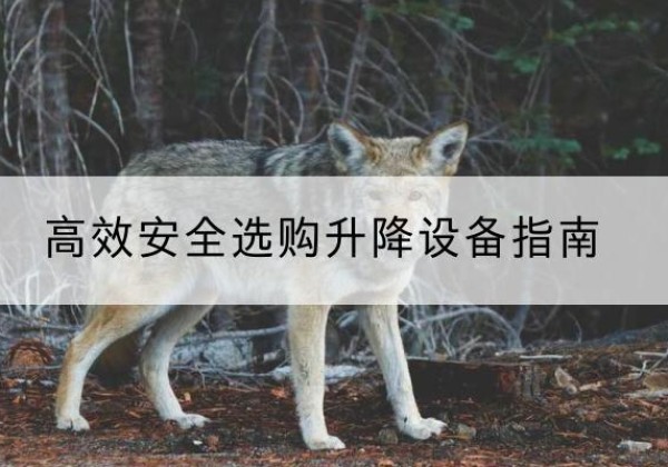 龙门升降货梯厂家推荐-*安全选购升降设备指南