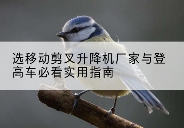 龙门电动升降机厂家-选移动剪叉升降机厂家与登高车必看实用指南