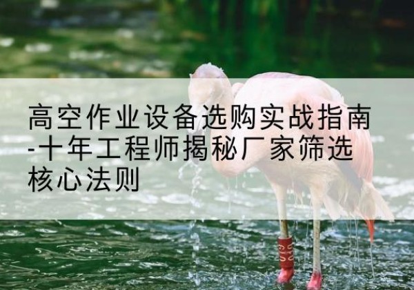 龙门剪叉式升降机厂家-高空作业设备选购实战指南-十年工程师揭秘厂家筛选核心法则